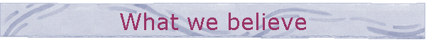 What we believe